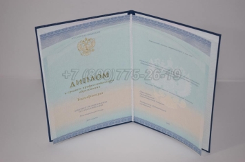 Диплом Колледжа 2023г СпецБланк в Сургуте