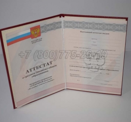Аттестат За 11 Класс 2012г Серебро в Сургуте