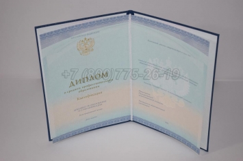 Диплом Техникума 2018г СпецБланк в Сургуте